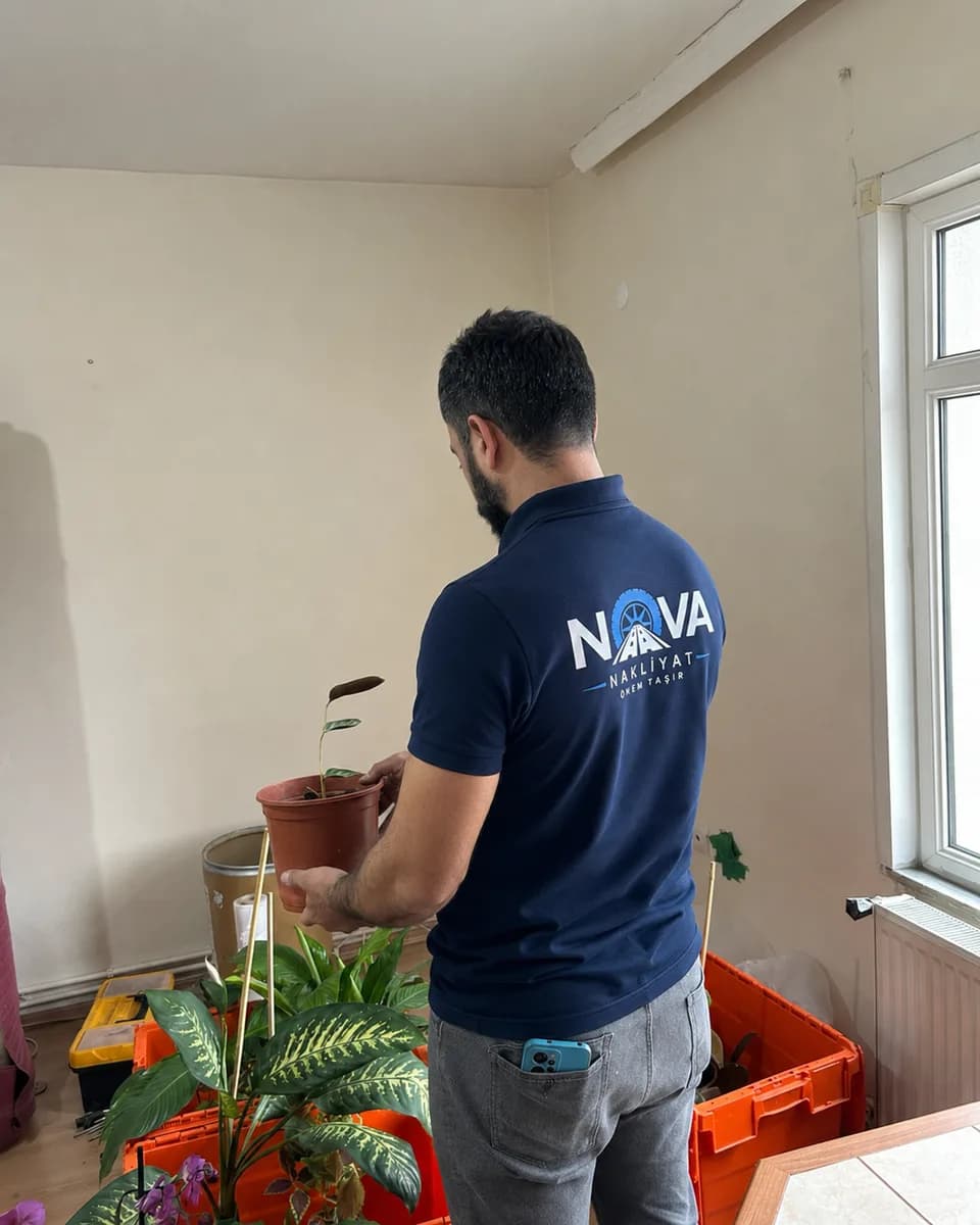 Fatih Evden Eve Nakliyat
